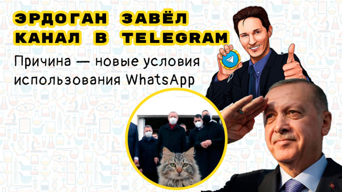 Эрдоган завёл канал в Telegram / Причина в новых условиях использования WhatsApp